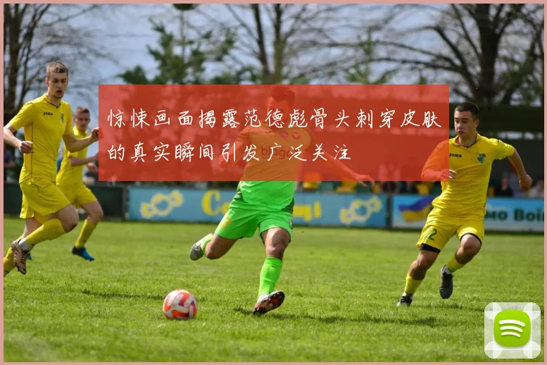惊悚画面揭露范德彪骨头刺穿皮肤的真实瞬间引发广泛关注