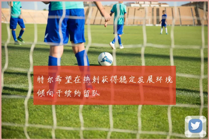 特尔希望在热刺获得稳定发展环境倾向于续约留队